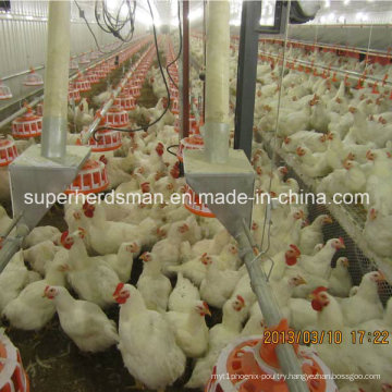 Automatic Poultry Equipment for Breeder Management
